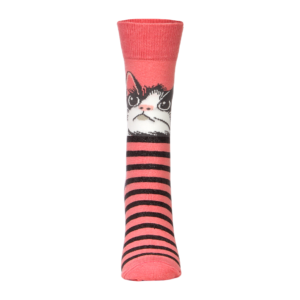 Meia Gatinho com Listras - Adulto - 34/39
