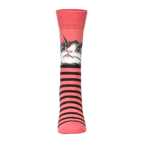 Meia Gatinho com Listras - Adulto - 34/39